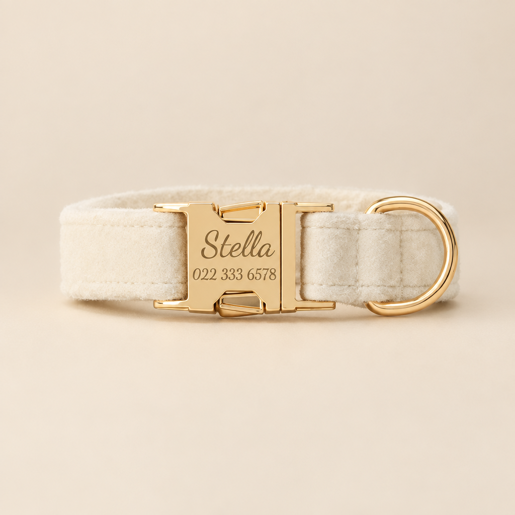 Personalised collar studio image